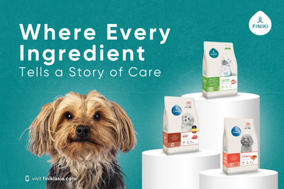 🥣 FINIKI Ingredients: Raising the Bar for Everyday Pet Nutrition