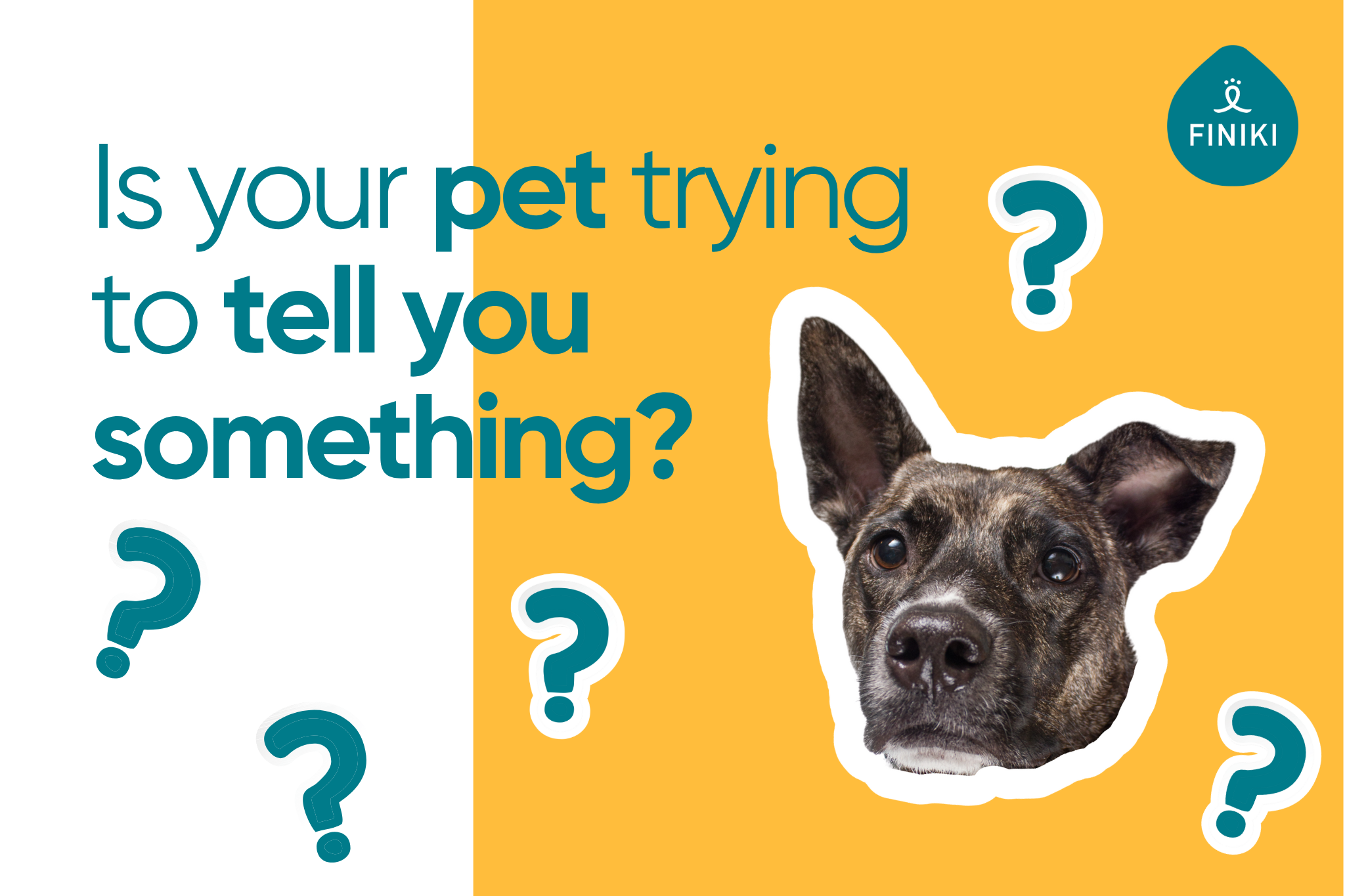 🚨 3 Signs Your Pet’s Food Is Failing Them — And What to Do 🐾