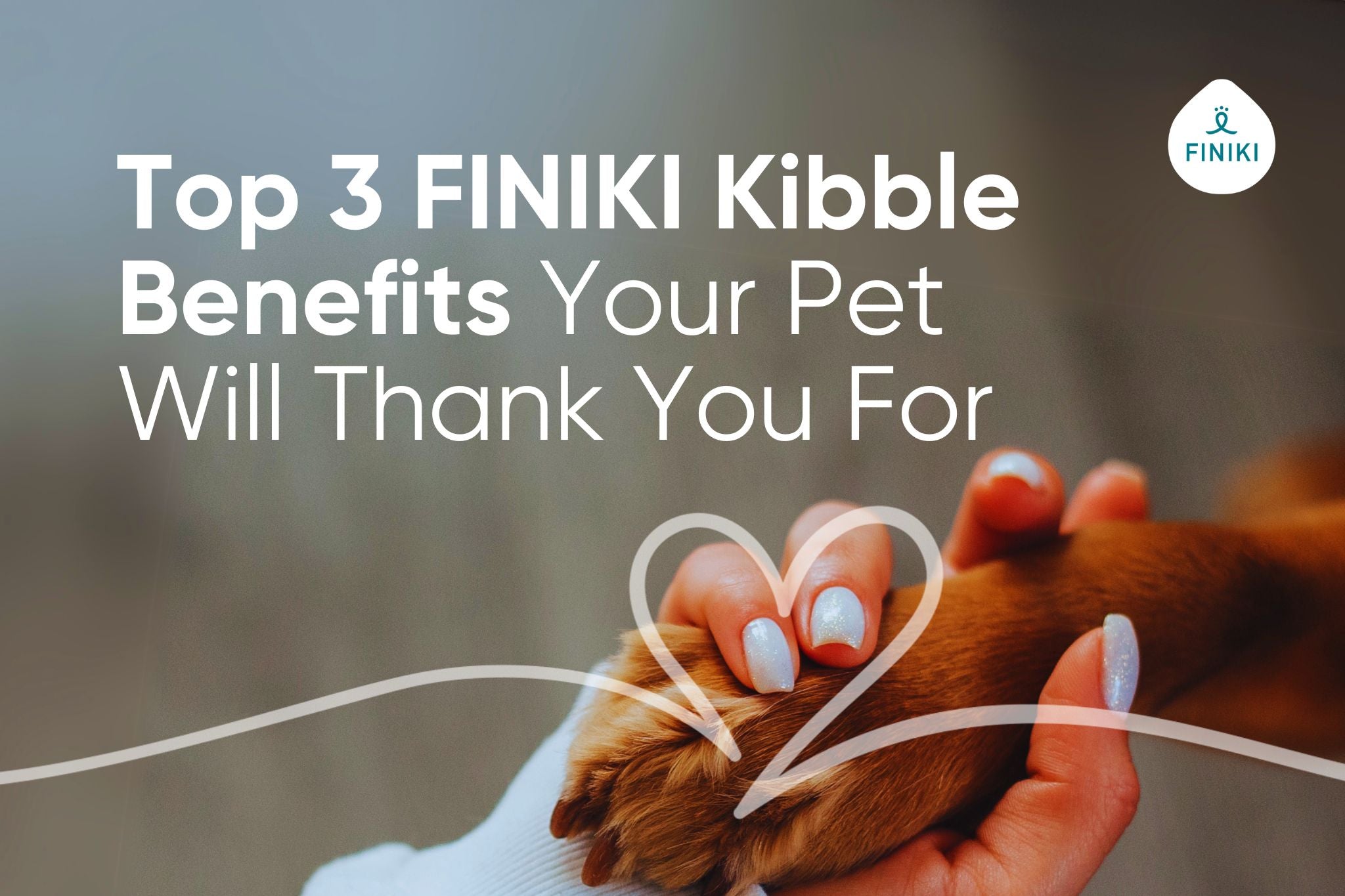 🐾 Good Nutrition Starts Here: Why FINIKI Kibble Makes Every Meal Count