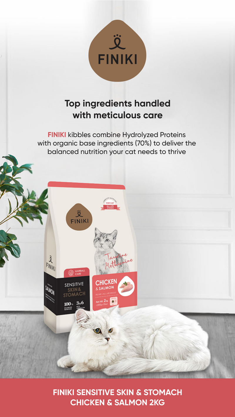 Sensitive Skin & Coat - Chicken & Salmon 2kg