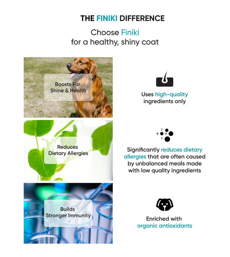 Hypoallergenic Lamb 1.8kg