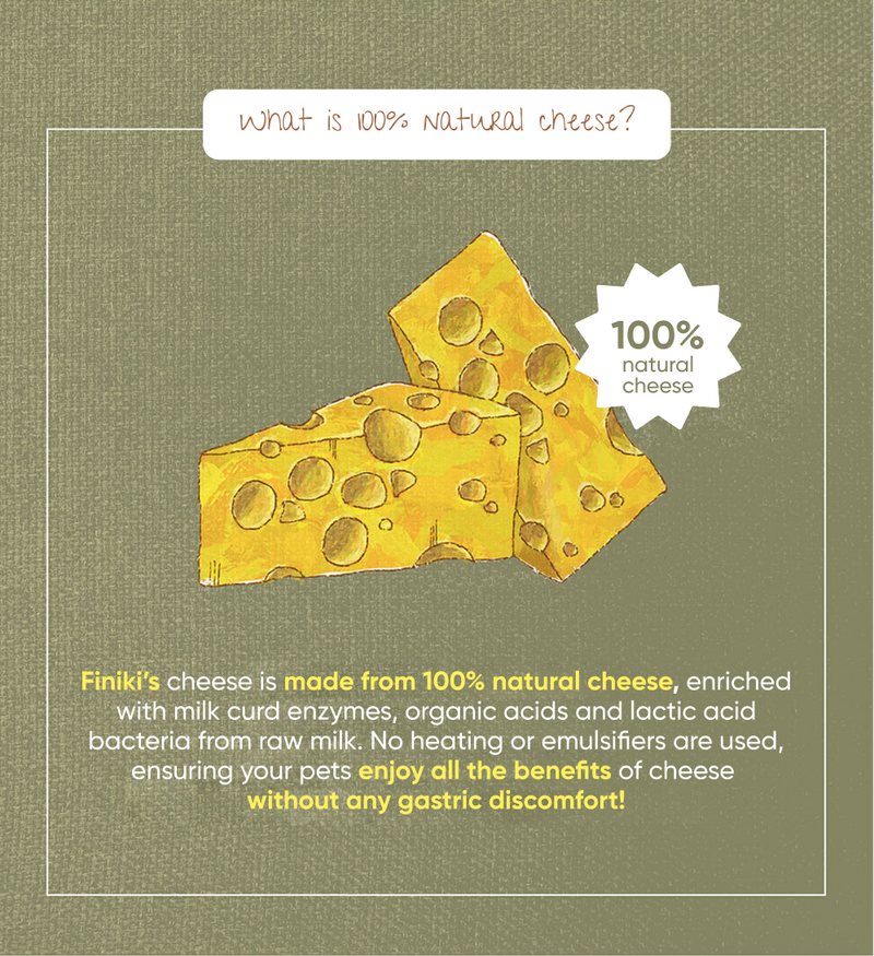 Crispy Pollack with Cheese 34g