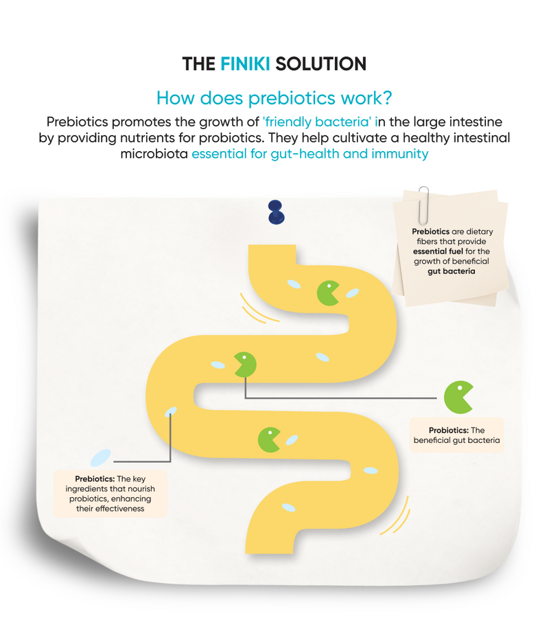 Prebiotics & Duck 90g