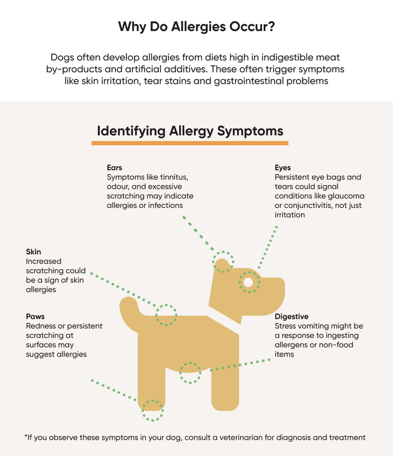 Hypoallergenic MEALWORM 1kg