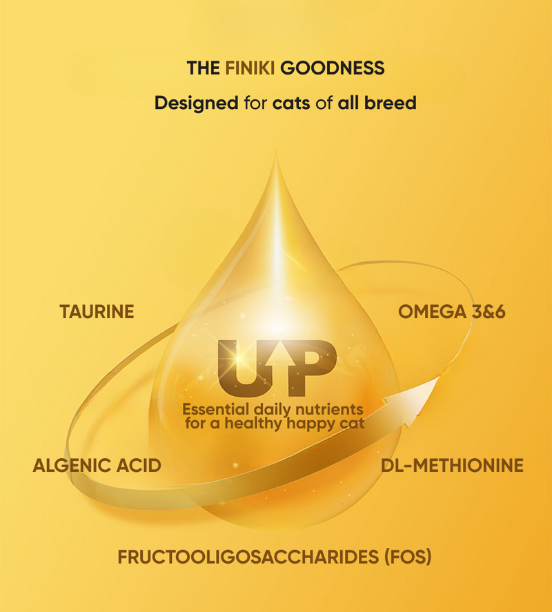 Sensitive Skin & Coat - Chicken & Salmon 2kg